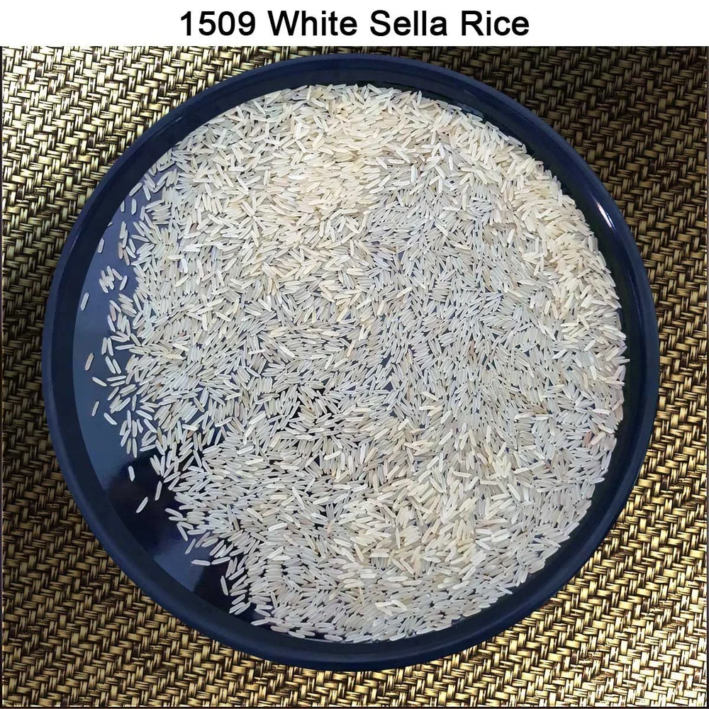 1509 Sella