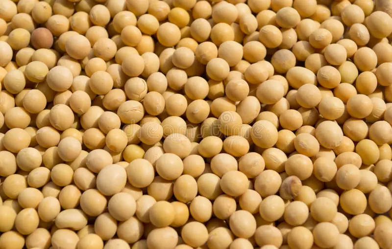 Soybeans