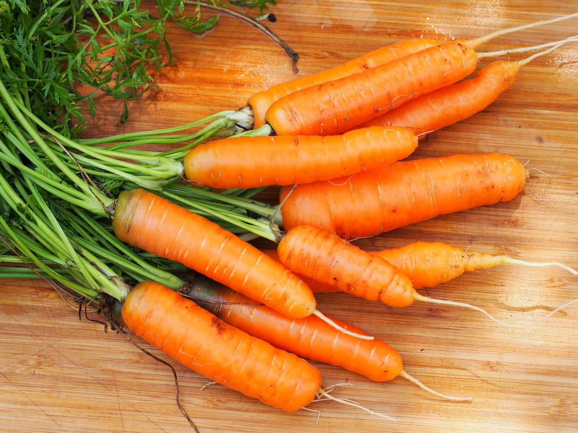 Carrot