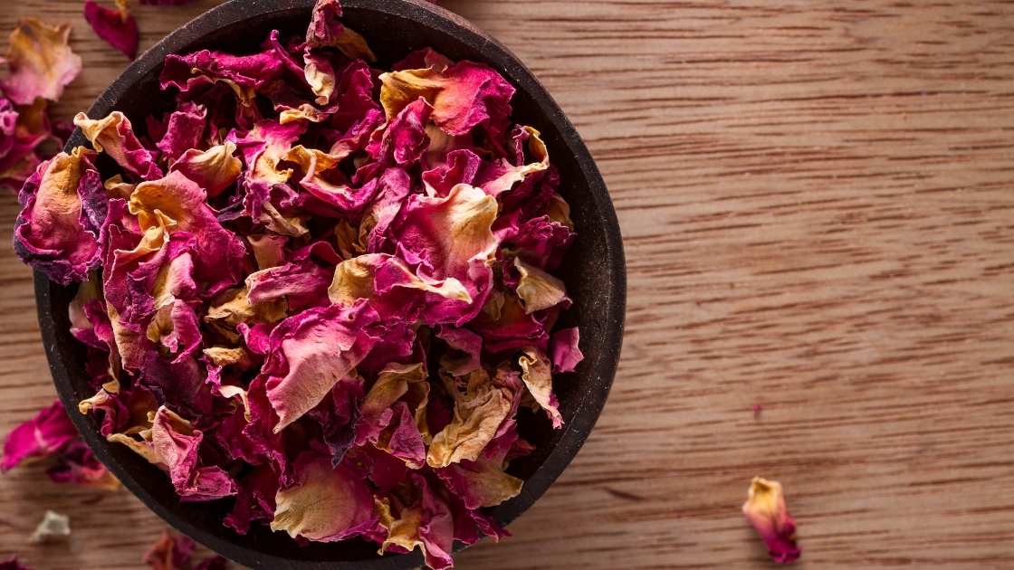 Dry Rose Patels
